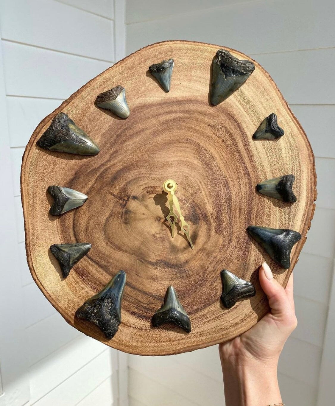 Custom Megalodon Shark Tooth Wall Clock