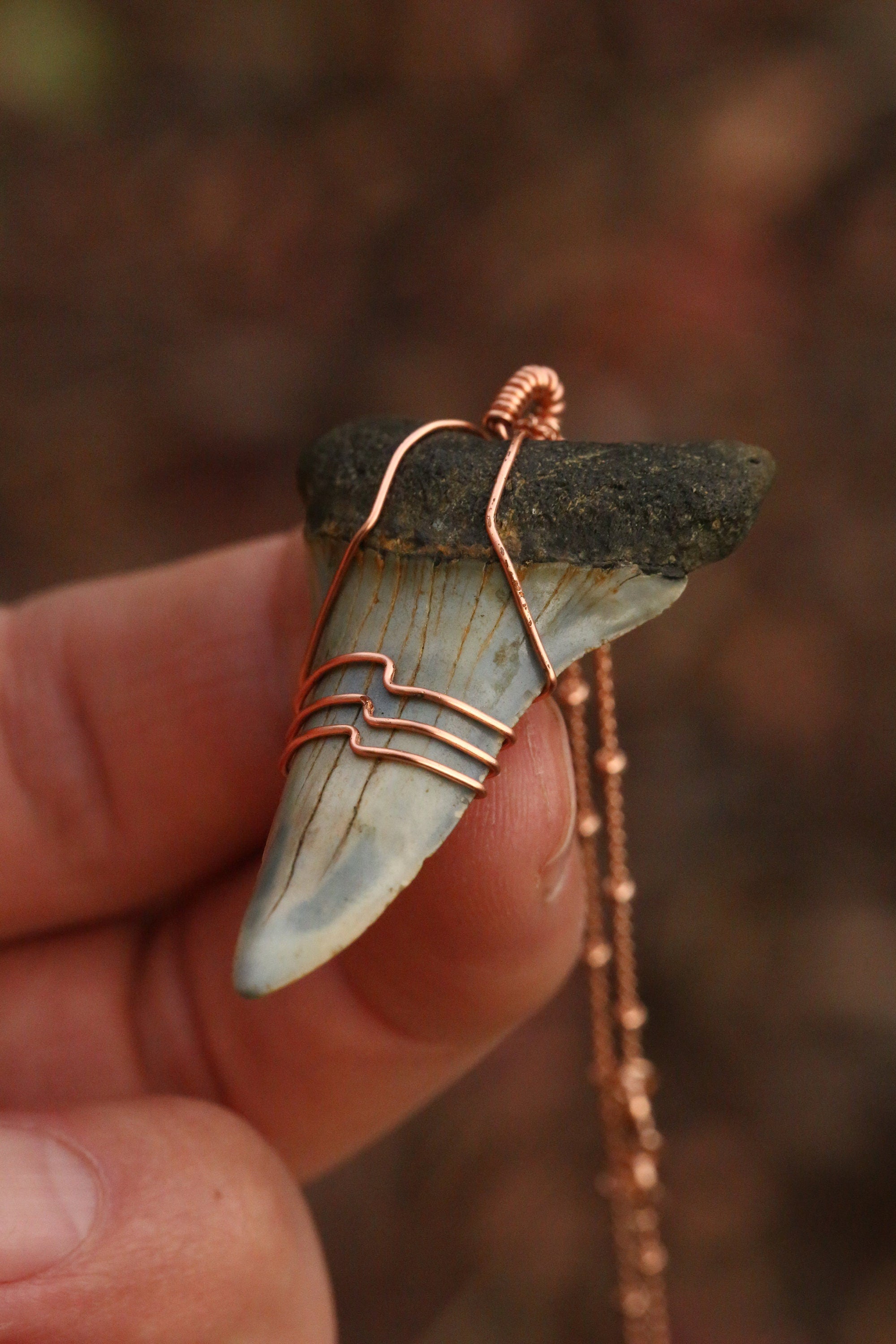 Beautiful Sharks Tooth store Pendant, (Mako) wire wrapped by Barb's Design