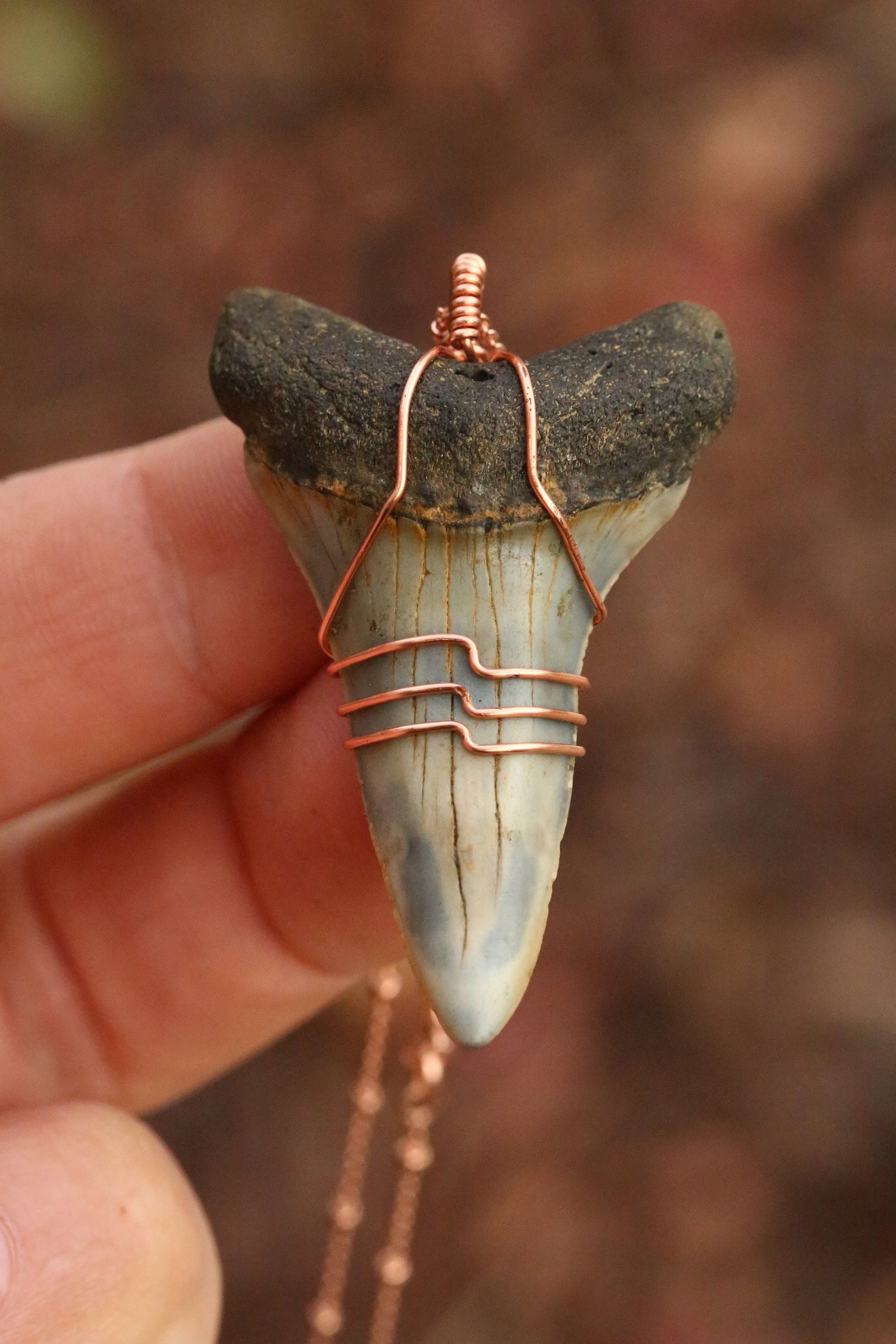 Shark Tooth Necklace | Authentic Mako Tooth w/ Rose Gold Wave Wrap & 18" Satellite Chain