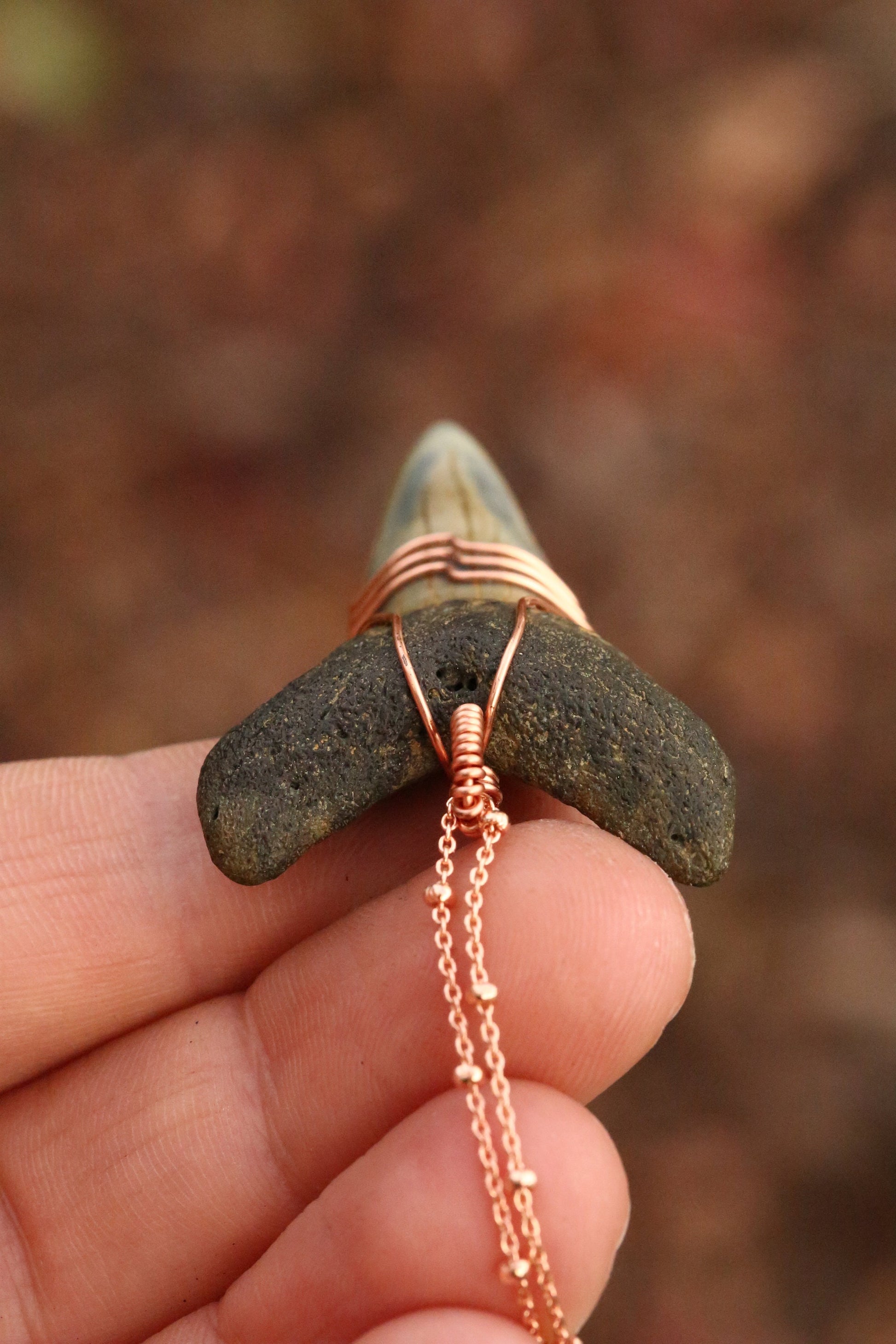 Shark Tooth Necklace | Authentic Mako Tooth w/ Rose Gold Wave Wrap & 18" Satellite Chain