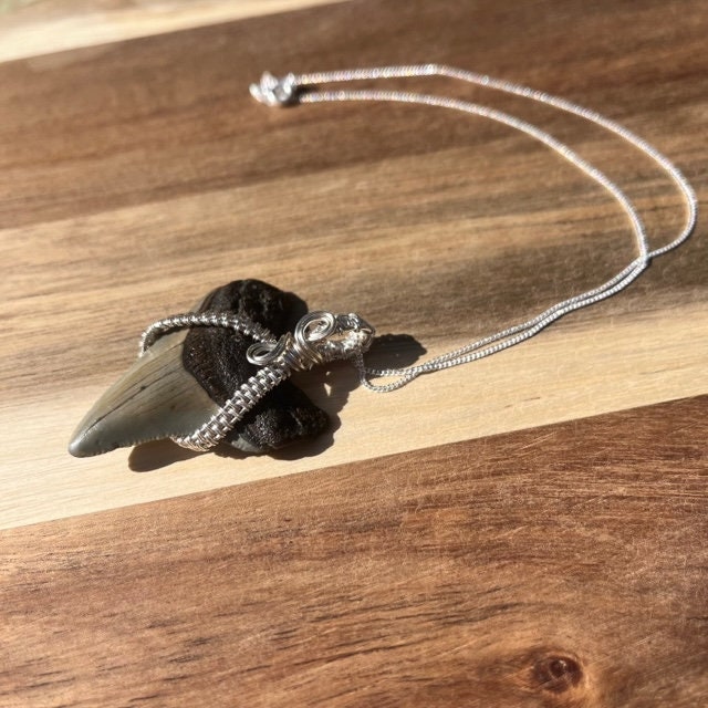 Authentic Magalodon Fossil Shark Tooth Pendant w/ Silver Wire Wrap & 18" Chain