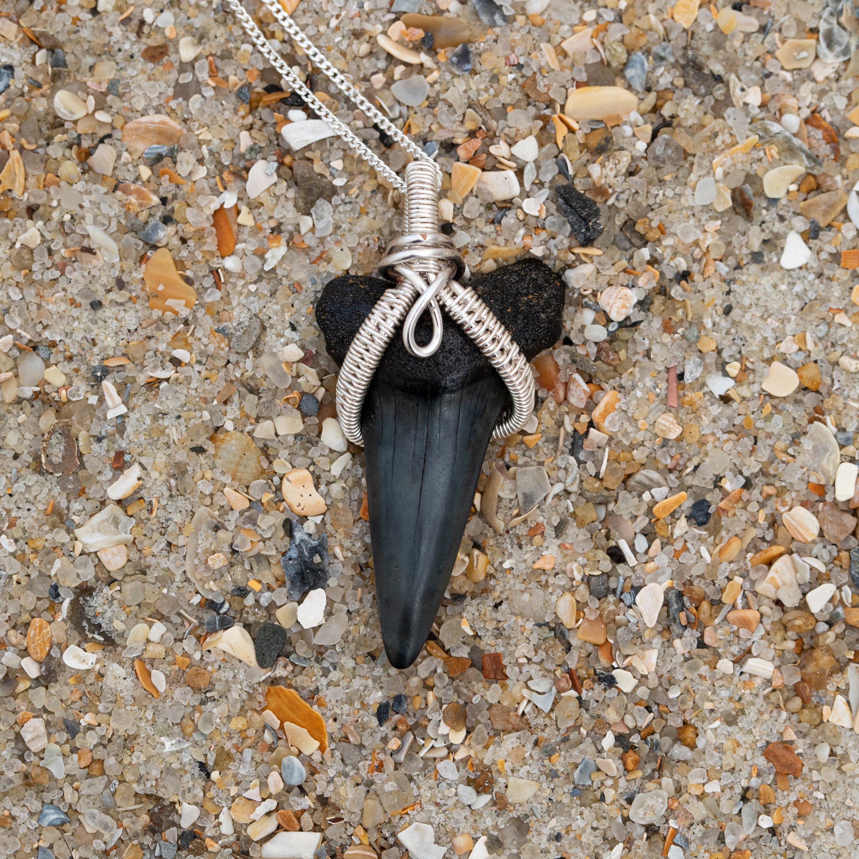 Beautiful Sharks Tooth Pendant, (Mako) wire wrapped by Barb's on sale Design