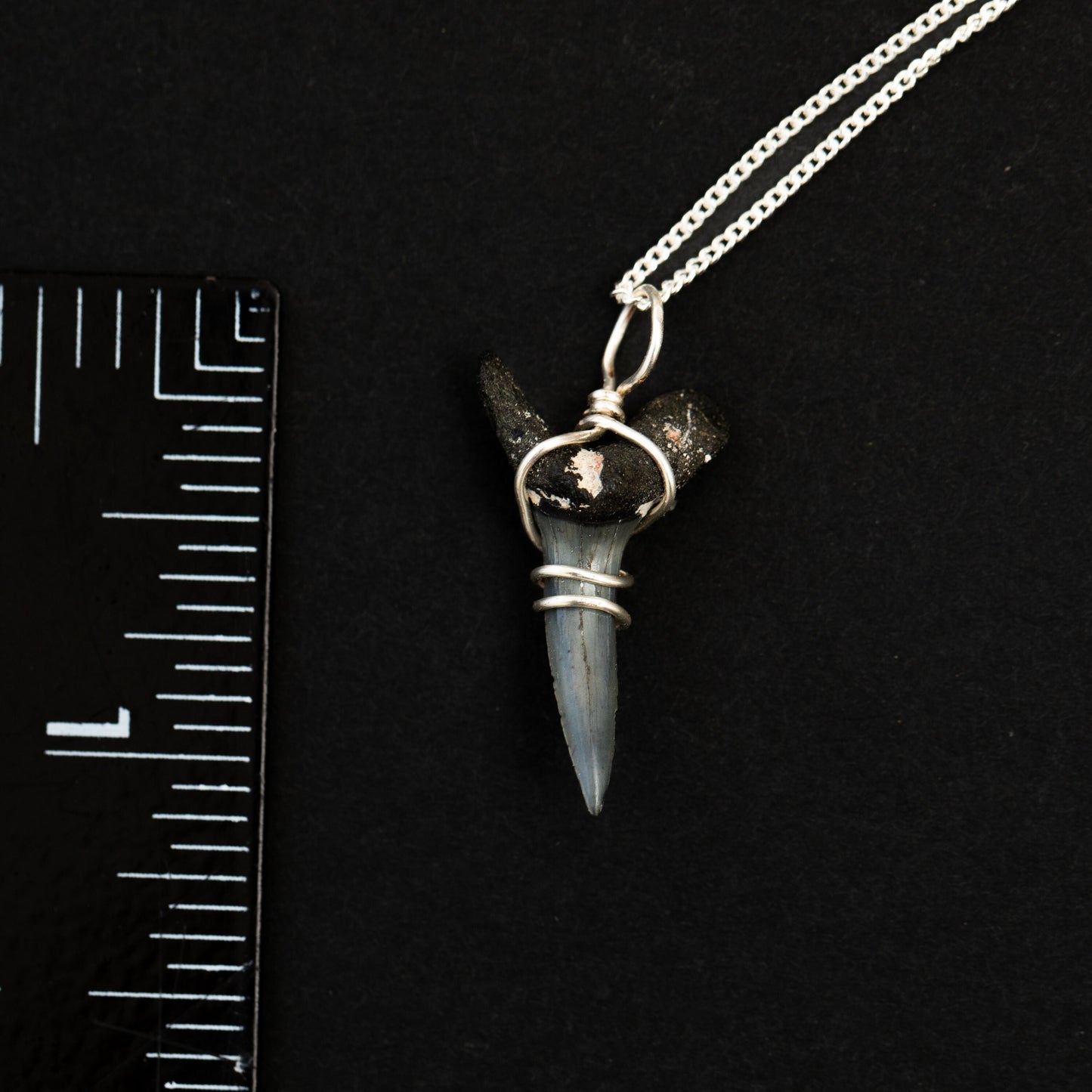 Shark Tooth Necklace with Silver Wire Wrap & 18" Chain | Authentic Fossil Sand Tiger Shark Tooth