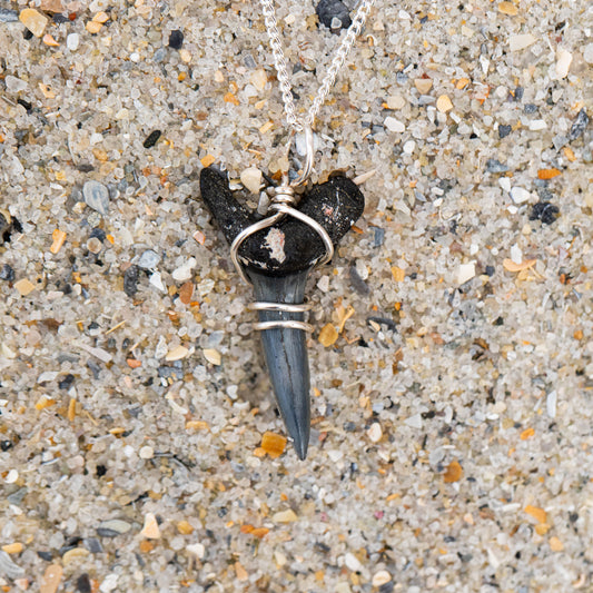 Shark Tooth Necklace with Silver Wire Wrap & 18" Chain | Authentic Fossil Sand Tiger Shark Tooth