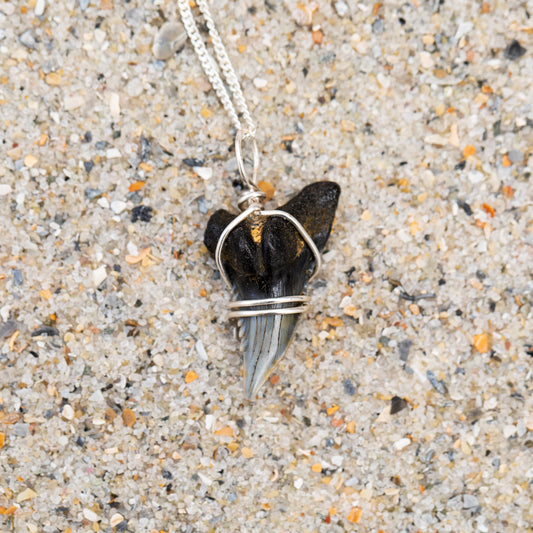 Shark Tooth Necklace | Pendant with Silver Wire Wrap & Chain | Authentic Snaggletooth Shark Fossil