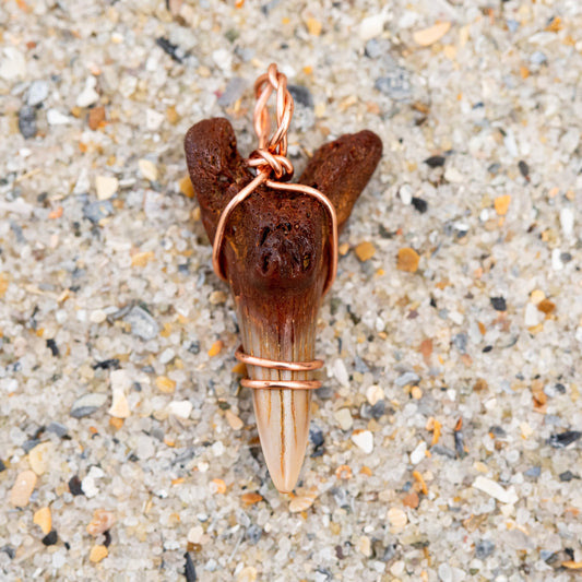 Shark Tooth Necklace with Rose Gold Wire Wrap & 18" Satellite Chain