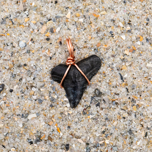 Authentic Bull Shark Tooth Pendant w/ Rose Gold Wire wrap 18' Satellite Chain