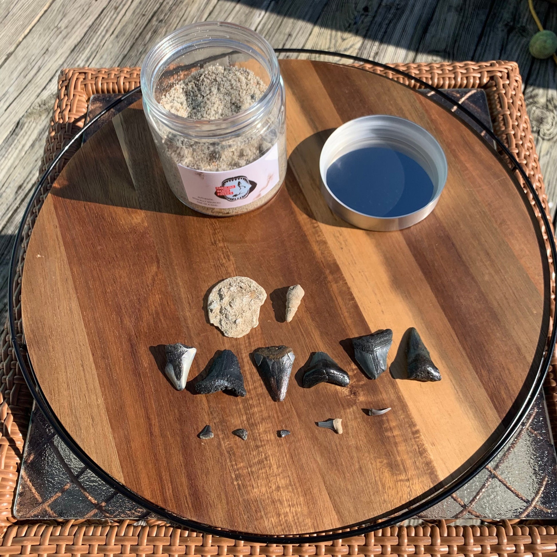 Educational Shark Teeth Dig Kit | Includes 12 REAL fossil shark teeth, identification chart, sand & a reusable jar