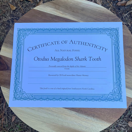 Certificate of Authenticity - Signed Hard Copy for Fossil Shark Teeth & Whale Bones